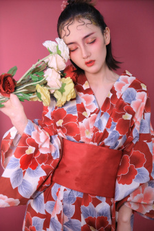大理寺.卿作者:安妮薇